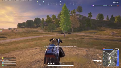 Stopped To Shot