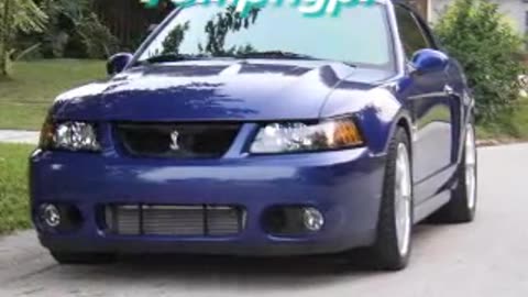 Terminator Stang