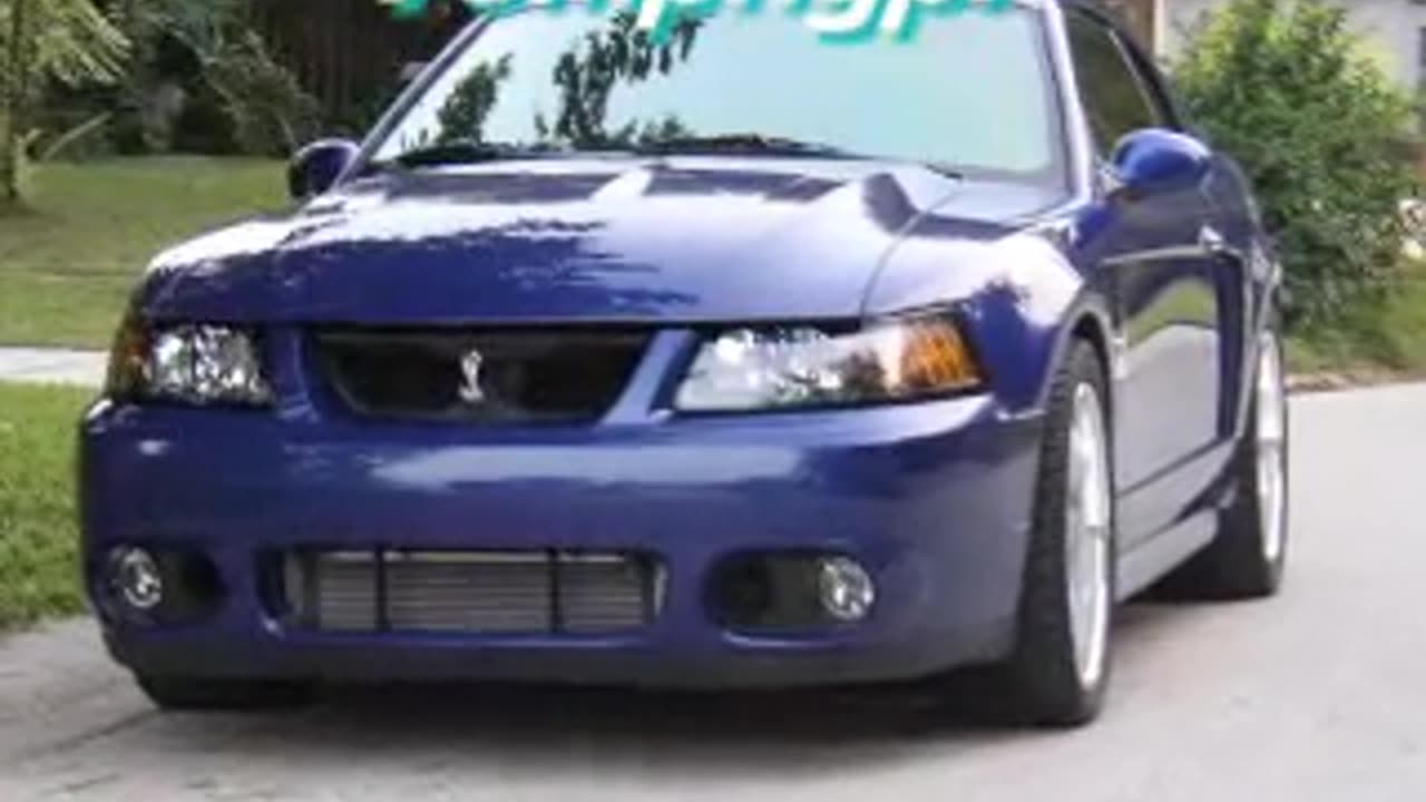 Terminator Stang
