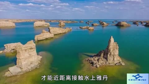 The only one in the world,the water Yadan,fried small mosquitoes !