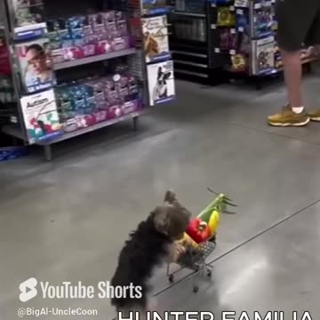 Hunter Familia Prepares for Something BIG | The Hunter Familia Grocery Chronicles | UncleCoon