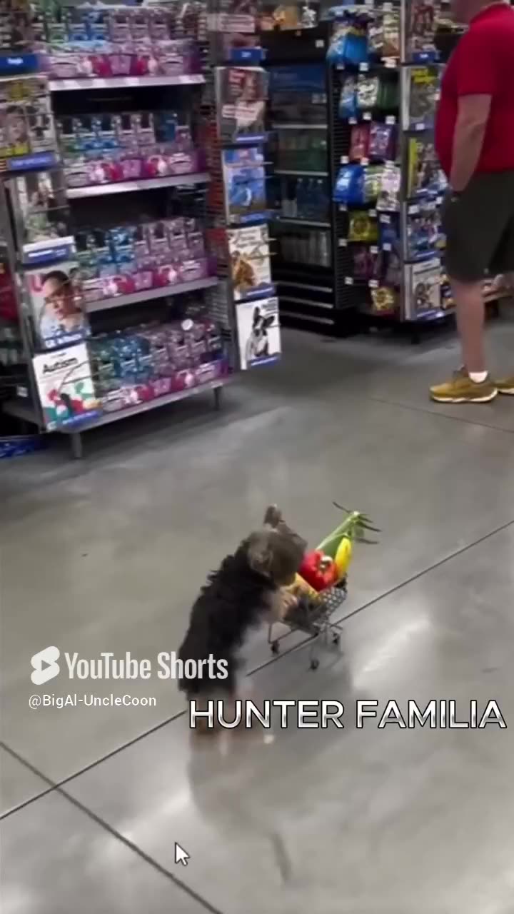 Hunter Familia Prepares for Something BIG | The Hunter Familia Grocery Chronicles | UncleCoon