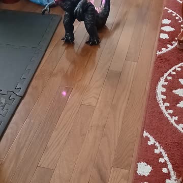 Godzilla New Empire RC