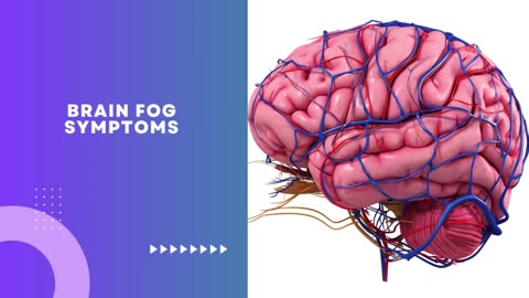 Exactly How Brain Health And Wellness Supplements Encouragement Mental Quality?
