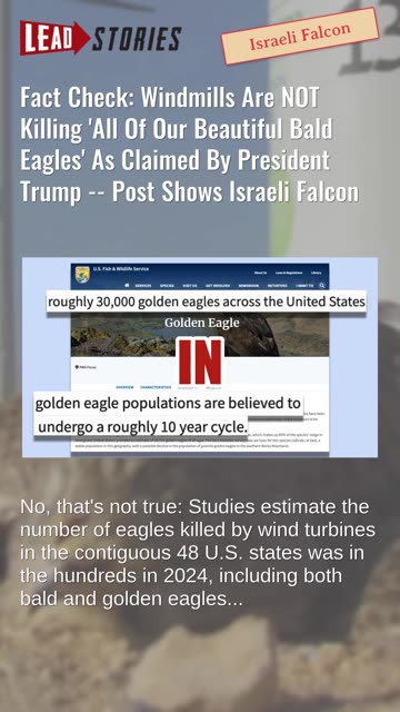 Fact Check: Windmills NOT Killing 'All Of Our Beautiful Bald Eagles' As Claimed By President Trump