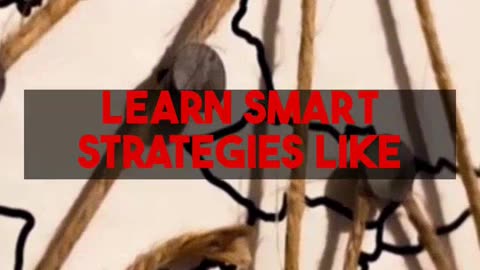 Smart Airfare Strategies for Digital Nomads