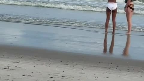 Small Plane Makes Emergency Landing Near Oak Island Pier