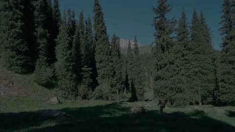 Saving a Forgotten Cabin in the Mountains | No Talking Wilderness Story