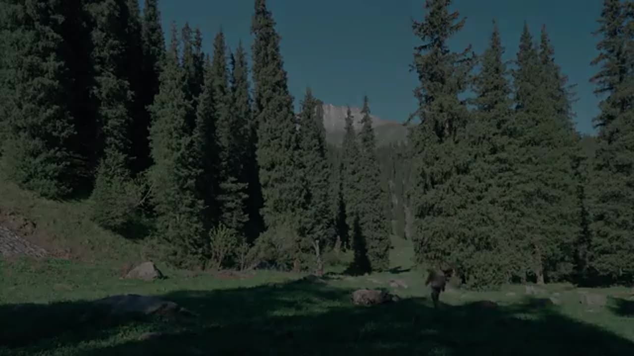 Saving a Forgotten Cabin in the Mountains | No Talking Wilderness Story