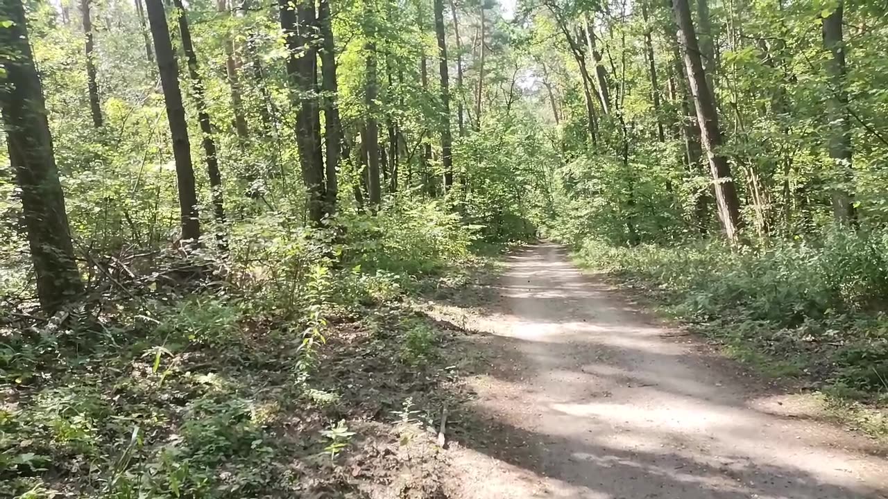 nie muszę wszystkiego rozumieć ...