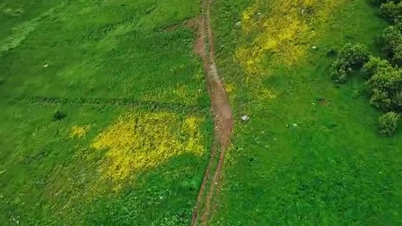 Piranshahr , Kordestan ,Iran