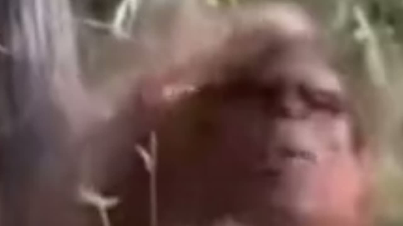 Screen capture from MANIMAL CRITTER
