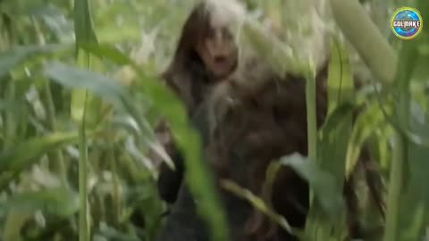 Scarecrow 2018