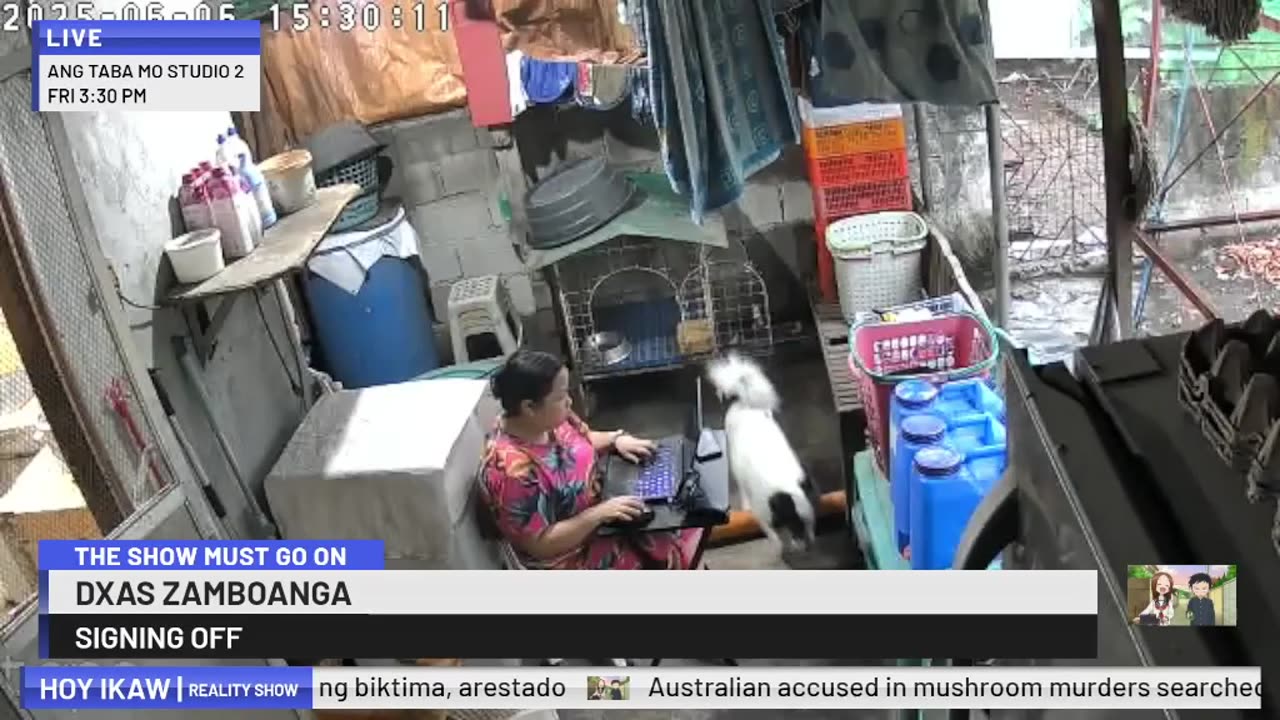 Mitsubishi Xpander 2019 Live