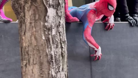 Spiderverse Joins in on Hare Krishna Mantra