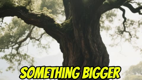 Most Men Want Power, But Few Know Why