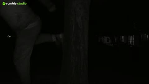 puffADA vs Tree - night fight round 1 - live mma training