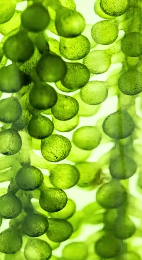 God Provides everything we need