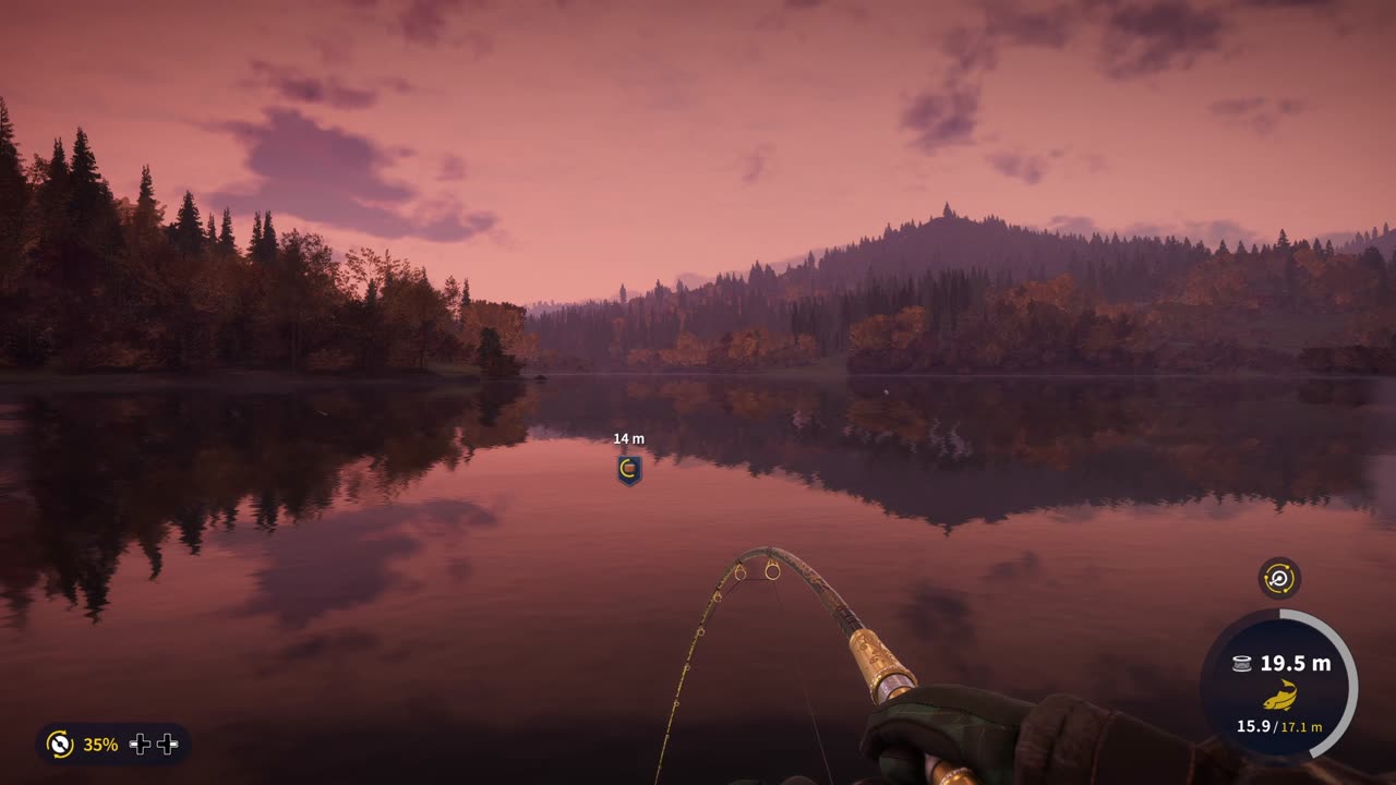 Diamond Amur Catfish Kamuibetsu Reserve COTW The Angler