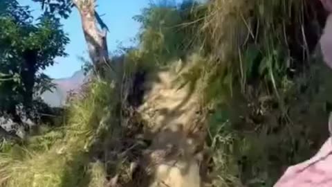 Latest funny video of the day