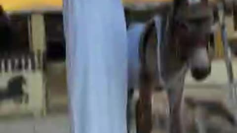 كل عام وأنتم بخير