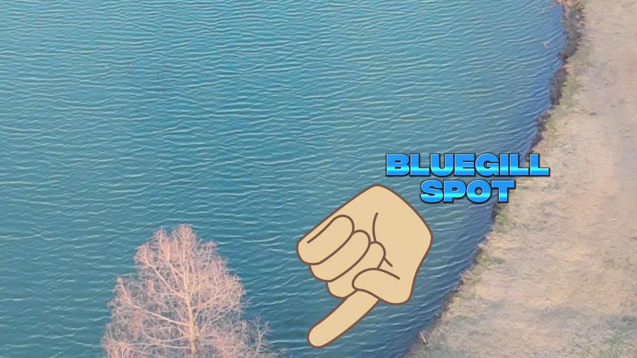 Spent The Whole Day Fishing And Met An Cool Subscriber