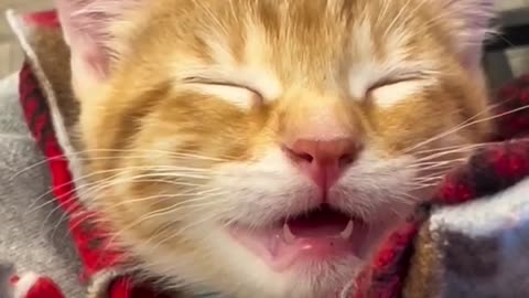 😂🔋 When Your Battery Hits 0%... And This Happens! | FunFM