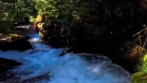 🤯🌊 Inside a Waterfall You Won't Believe! Nature's Hidden Secret | FunFM
