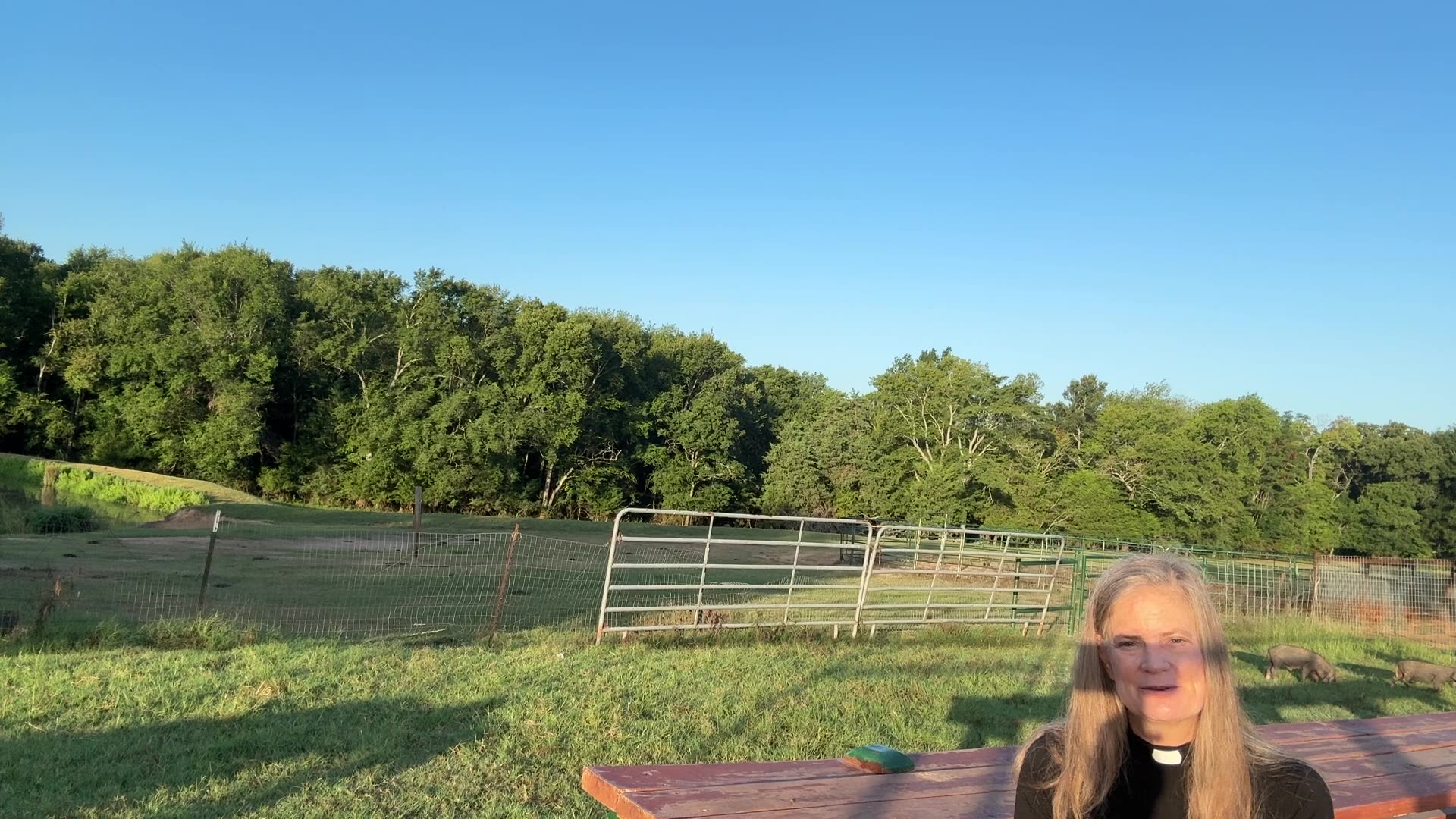 Morning Prayer, Daily Office