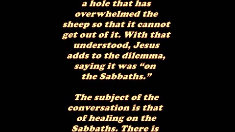 Matthew 12:11 - Daily Bible Verse Commentary