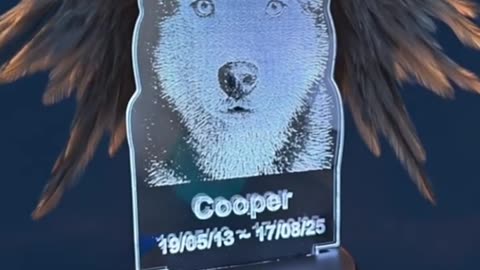 Custom ‘Pet Dog - Cooper the Siberian Husky’ Memory LED Desk Lamp 💡🐶❤️