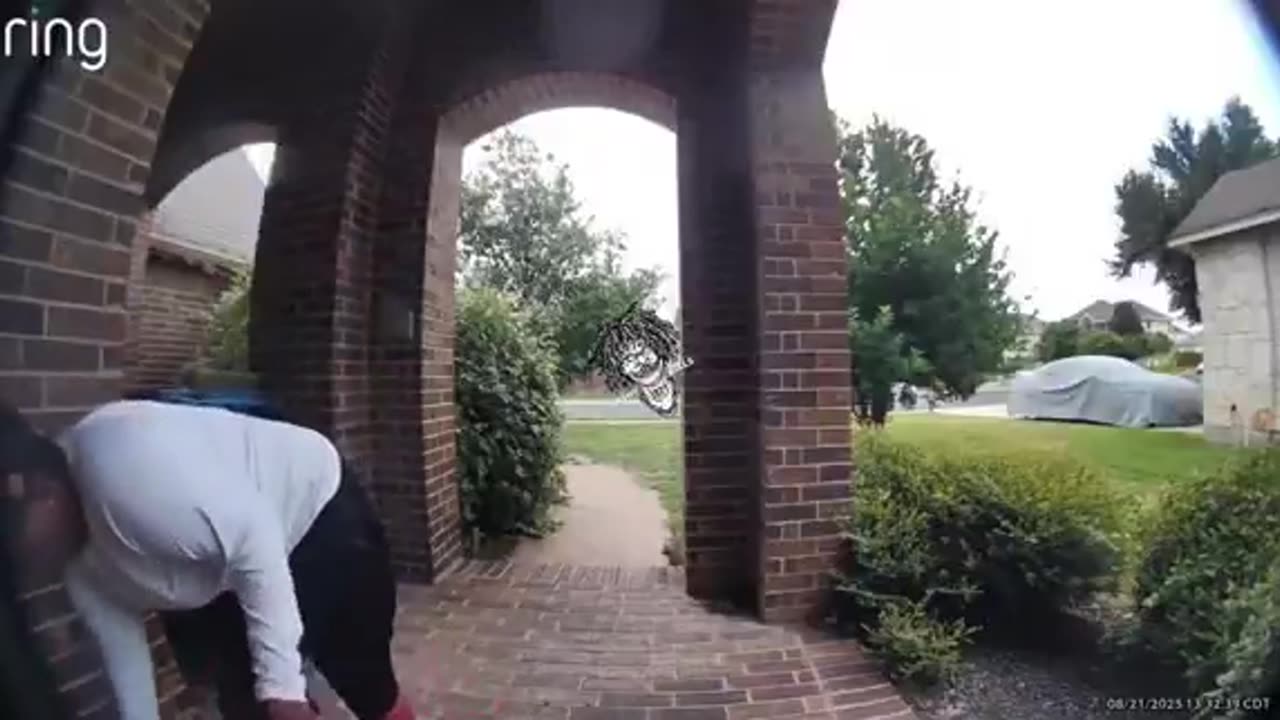 Diversity Delivers Food, Steals Amazon