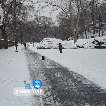 Snow Winter Christmas Holiday Season