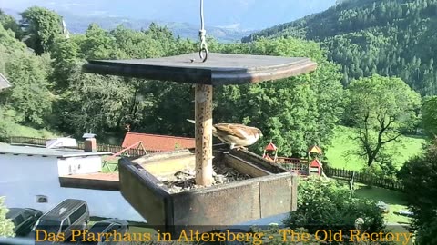 Old Rectory in Austria