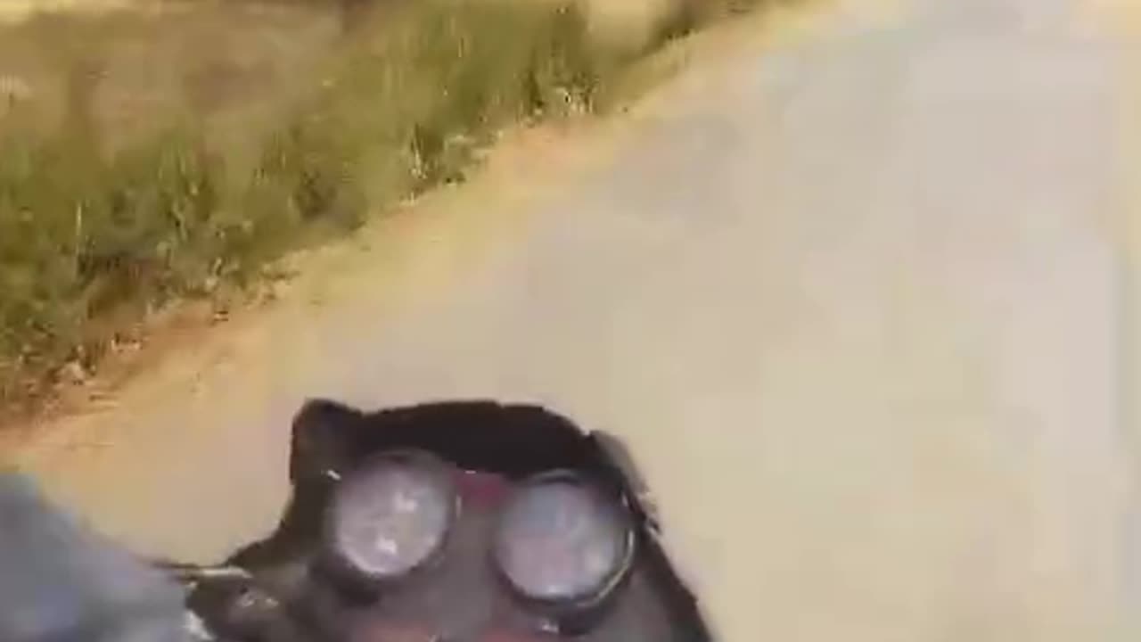Hilorious Video Online Watch this Best Here