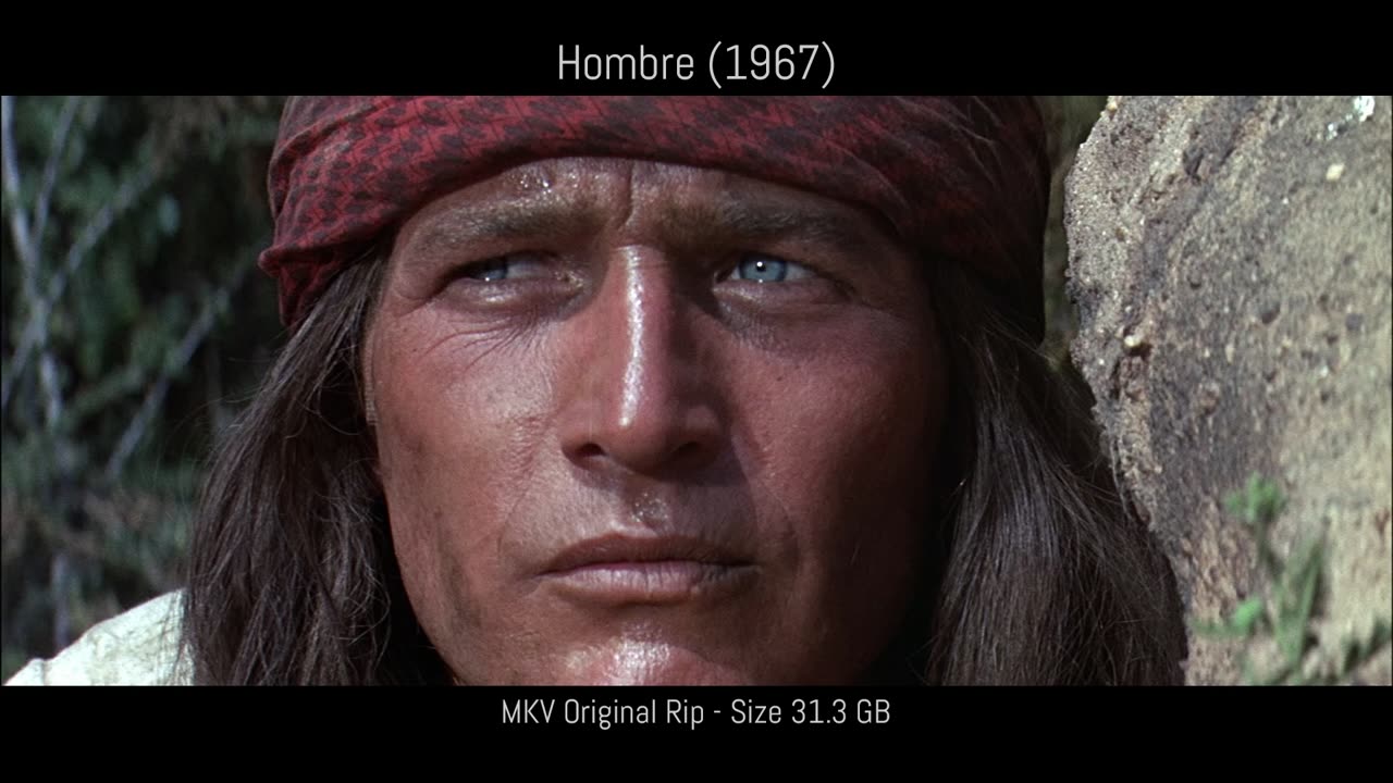 Screenshots For Comparison