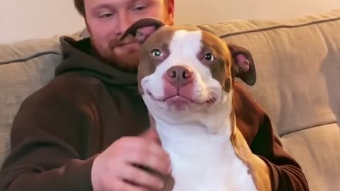 When Your Dog Is Funnier Than Anyone In Your Family 😄 Funny Dog and Human