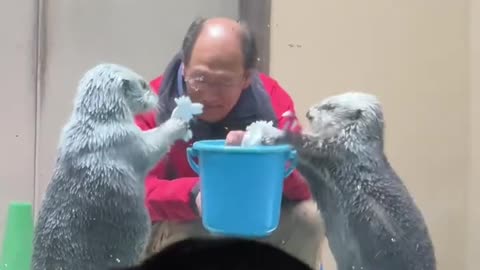 Showing off tricks for the visitors