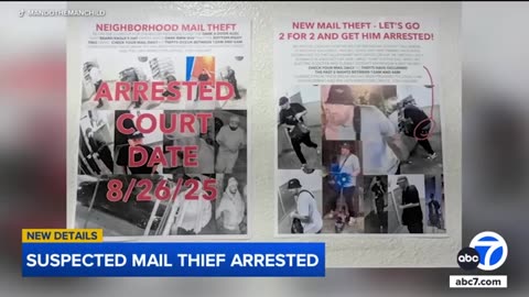 Suspected mail thief caught by neighbors in viral video has lengthy criminal history