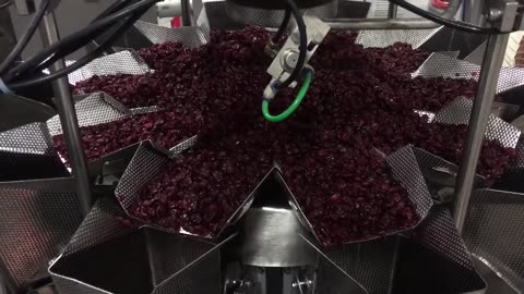 (Craisins 1lb @ 60bpm) High Tek USA - 10 Head Standard Weigher Machine | Food Packaging Services