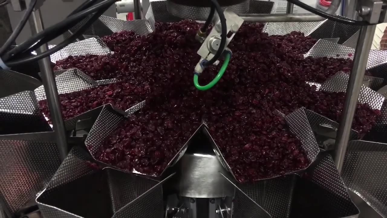 (Craisins 1lb @ 60bpm) High Tek USA - 10 Head Standard Weigher Machine | Food Packaging Services