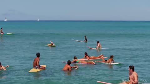 The Girls Surf Queens