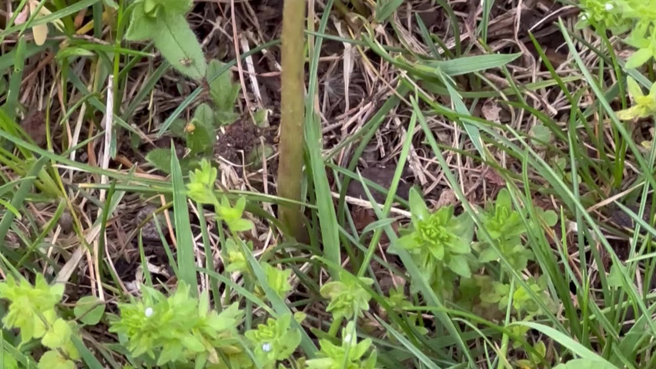 Invisible Force of Universal Consciousness