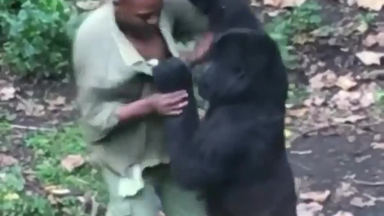 Those dudes are bros