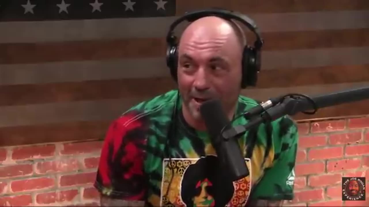 Joe Rogan on Bullshit Jobs