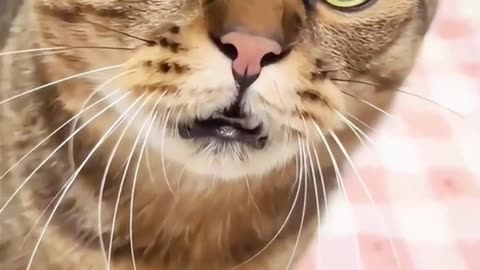 Don't scare me, I'm hungry. #shorts