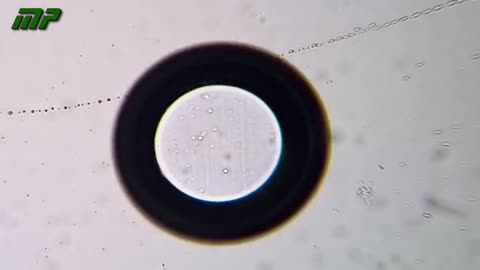 Mikroskopische Analyse des AstraZeneca-Impfstoffs, von Dr. Liliana Zelada Rück.