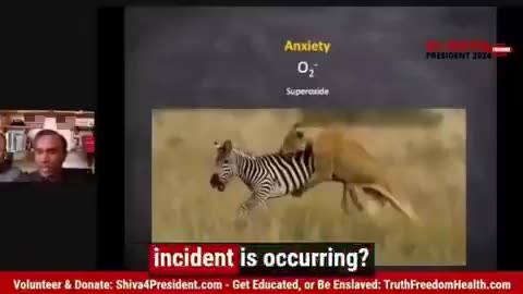 Dr. Shiva explains about Adrenochrome.