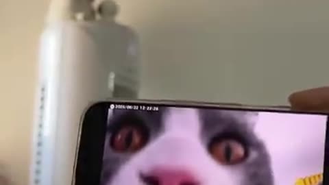 😂 Can you see me mom? | FunFM