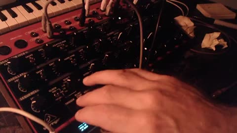 Cute Desk Plant & Toy